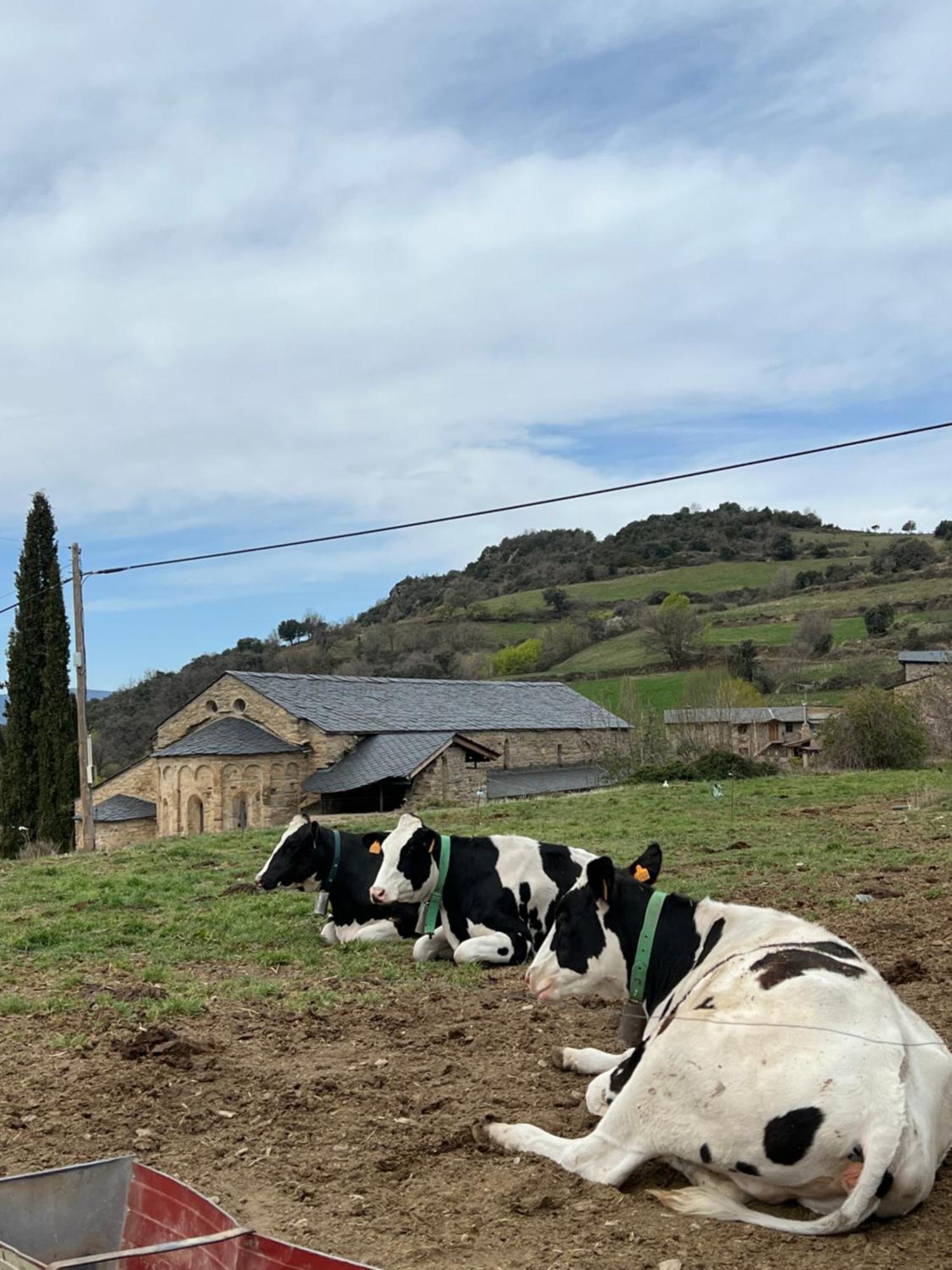 Cal David Διαμέρισμα Estamariu Εξωτερικό φωτογραφία